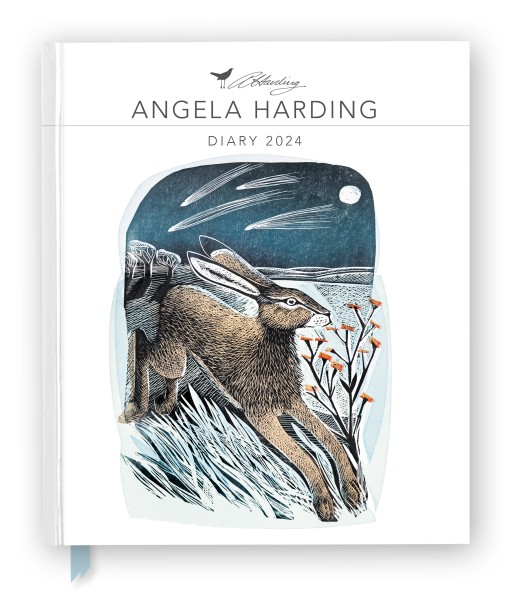 Angela Harding 2024 Desk Diary - Week to View, Illustrated on every page