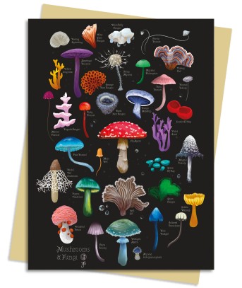 Anna Stead: Mushrooms & Fungi Greeting Card Pack