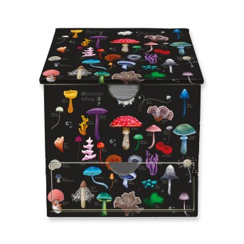 Anna Stead: Mushrooms & Fungi Memo Box with Drawer
