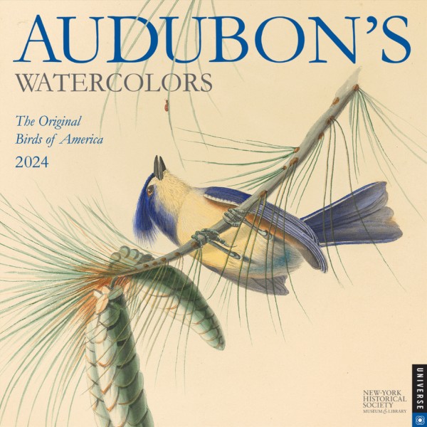 Audubon’s Watercolors 2024 Wall Calendar