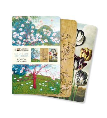 Blossoms & Blooms Set of 3 Mini Notebooks
