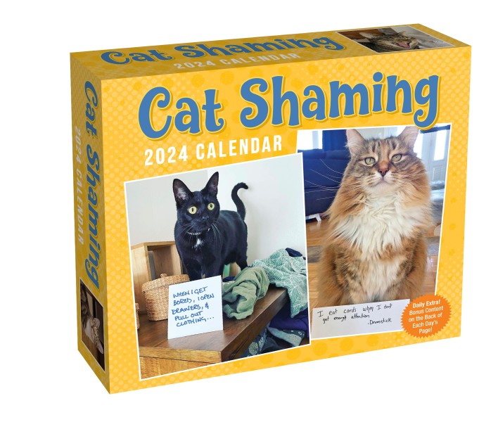 Cat Shaming 2024 Day-to-Day Calendar