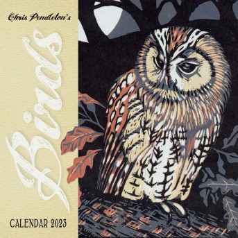 Chris Pendleton's Birds Mini Wall Calendar 2023 (Art Calendar)
