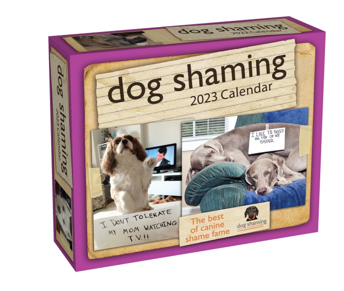 Dog Shaming 2023 Day-to-Day Calendar