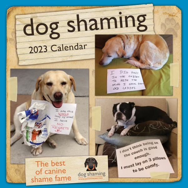 Dog Shaming 2023 Wall Calendar