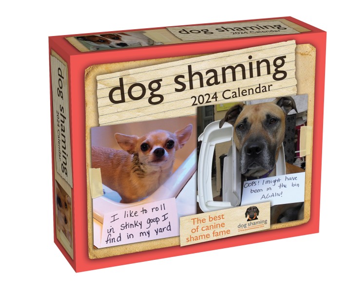 Dog Shaming 2024 Day-to-Day Calendar