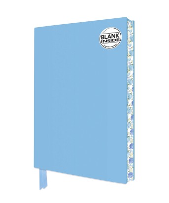 Duck Egg Blue Blank Artisan Notebook (Flame Tree Journals)