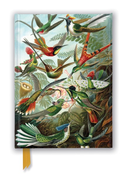 Ernst Haeckel: Hummingbirds (Foiled Journal)