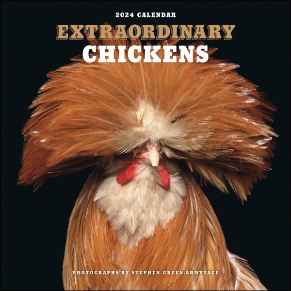 Extraordinary Chickens 2024 Wall Calendar Flame Tree Publishing