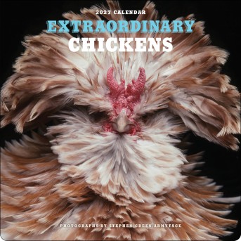 Extraordinary Chickens 2027 Wall Calendar