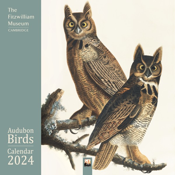 Fitzwilliam Museum Audubon Birds Wall Calendar 2024 (Art Calendar