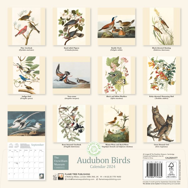 Fitzwilliam Museum Audubon Birds Wall Calendar 2024 (Art Calendar