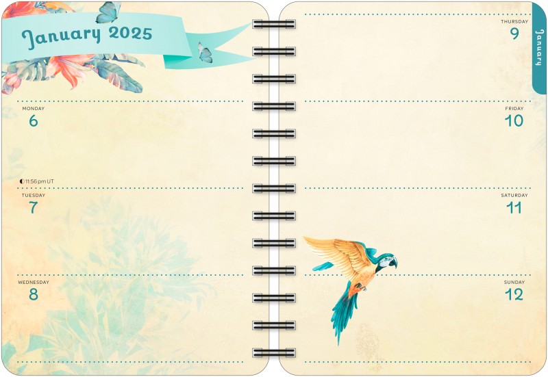 For the Love of Frida 2025 Weekly Planner Calendar Flame Tree Publishing