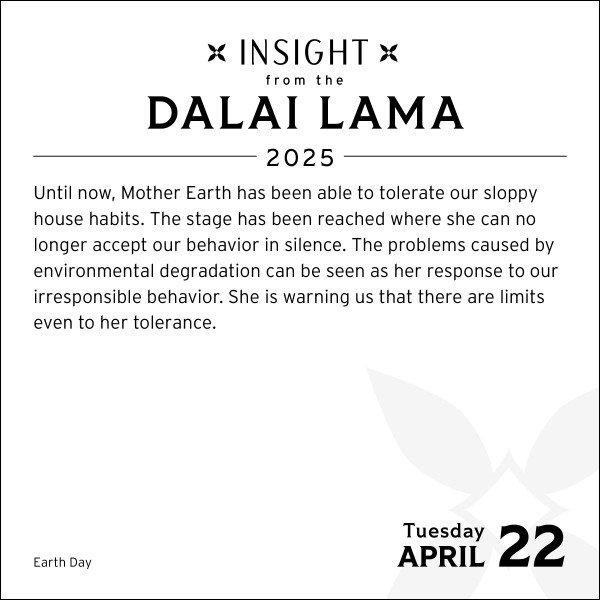 Dalai Lama Wall Calendar 2025 Fawn Orelee