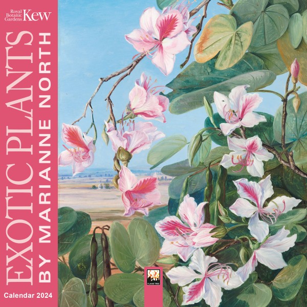 Kew Gardens: Exotic Plants by Marianne North Mini Wall Calendar 2024 (Art Calendar)