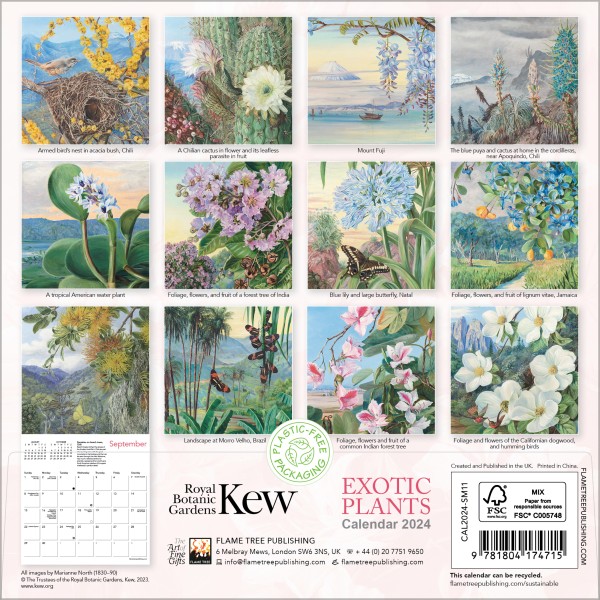 Kew Gardens Exotic Plants by Marianne North Mini Wall Calendar 2025