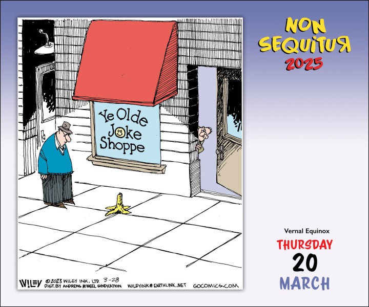 Non Sequitur 2025 DaytoDay Calendar Flame Tree Publishing