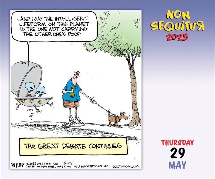 Non Sequitur 2025 DaytoDay Calendar Flame Tree Publishing
