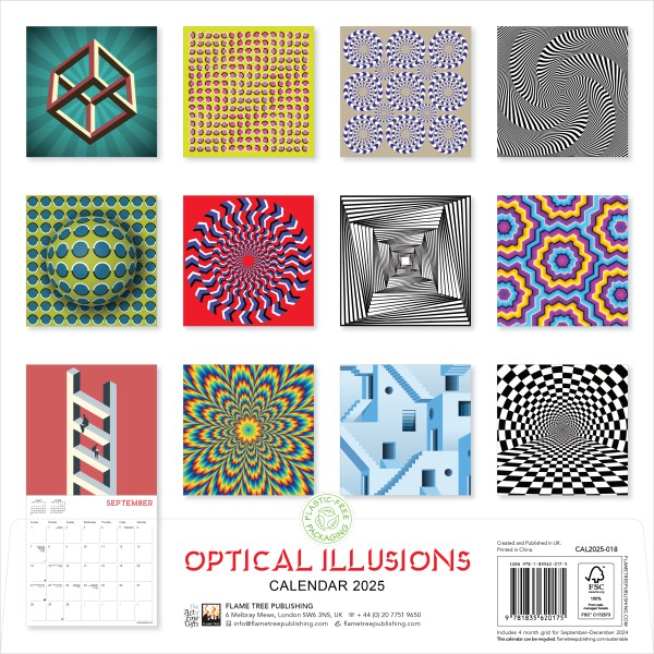 Optical Illusions Wall Calendar 2025 (Art Calendar) Flame Tree Publishing