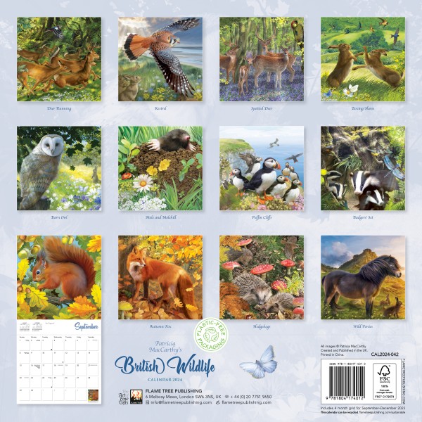 Patricia McCarthy's British Wildlife Wall Calendar 2024 (Art Calendar ...