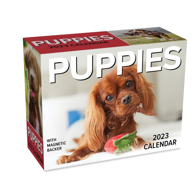Puppies 2023 Mini DaytoDay Calendar Flame Tree Publishing