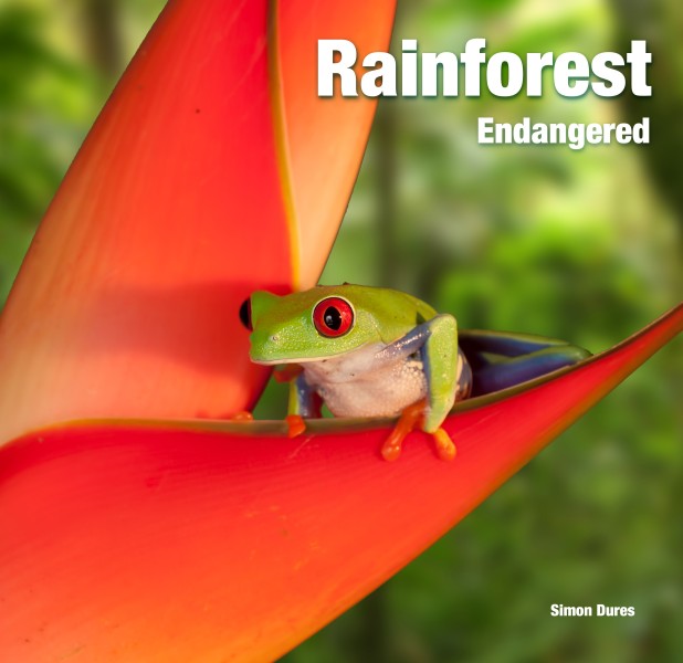 Rainforest Endangered