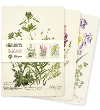Royal Botanic Garden Edinburgh Set of 3 Midi Notebooks