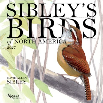 Sibley's Birds of America 2027 Wall Calendar