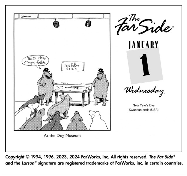 The Far Side® 2025 OfftheWall DaytoDay Calendar Flame Tree Publishing