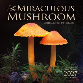 The Miraculous Mushroom 2027 Mini Wall Calendar