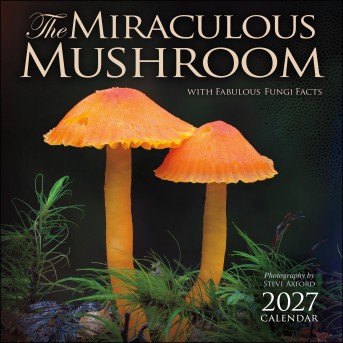 The Miraculous Mushroom 2027 Wall Calendar