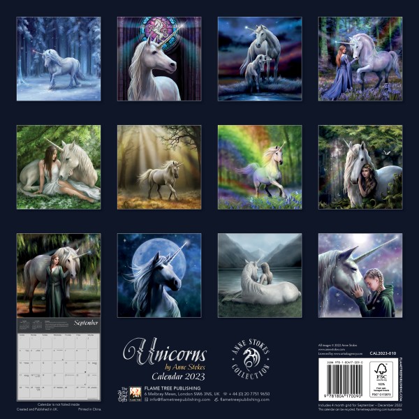 Unicorns by Anne Stokes Wall Calendar 2023 (Art Calendar) Flame Tree