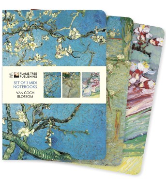 Vincent van Gogh: Blossom Set of 3 Midi Notebooks