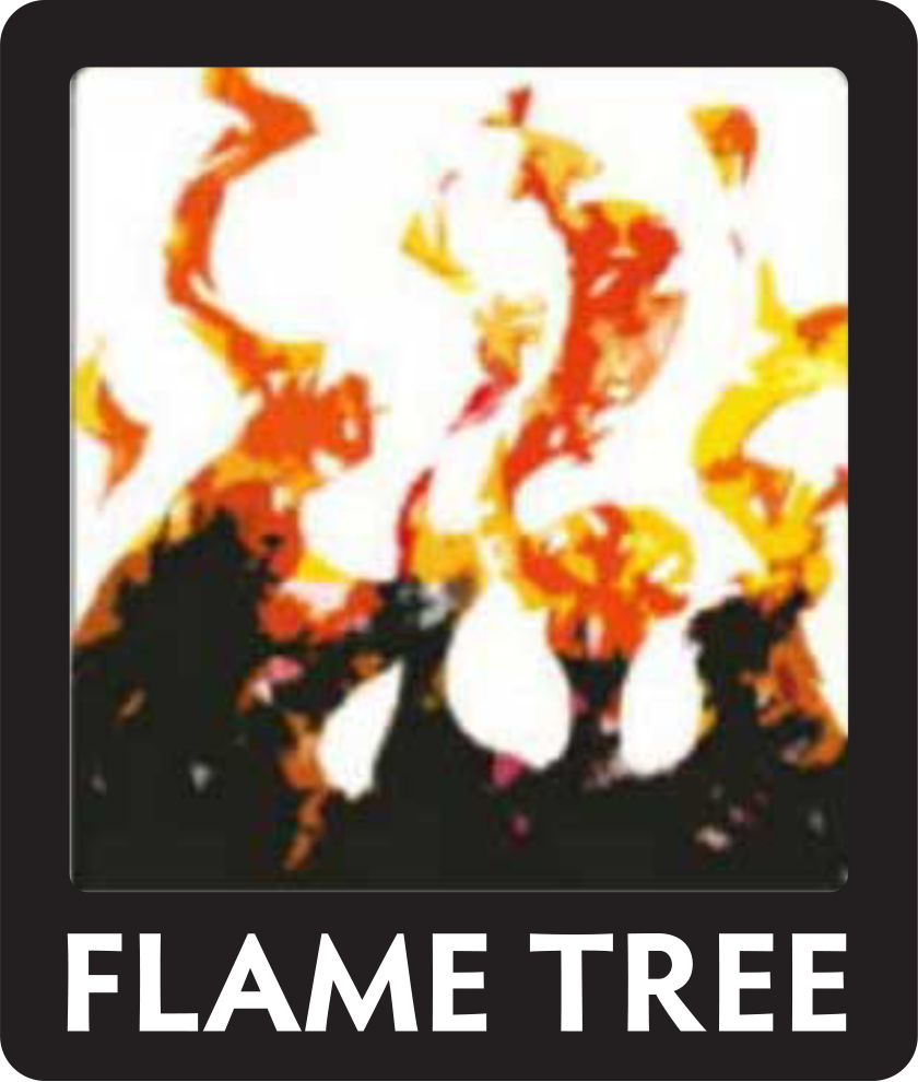 Flame Tree Publishing Ltd logo